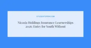Nicasia Holdings Insurance Learnerships 2026: Entry for Youth Without Degree