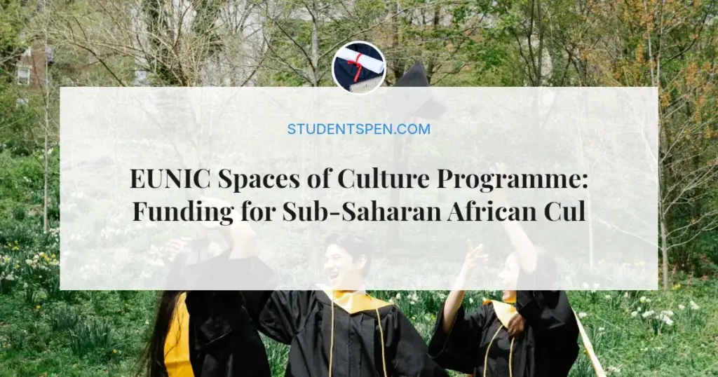 EUNIC Spaces of Culture Programme: Funding for Sub-Saharan African Cultural Projects in 2026
